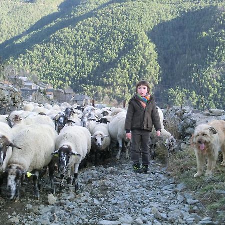 Allotjament Taga Ribes De Freser Dış mekan fotoğraf